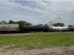 UTLX 640229